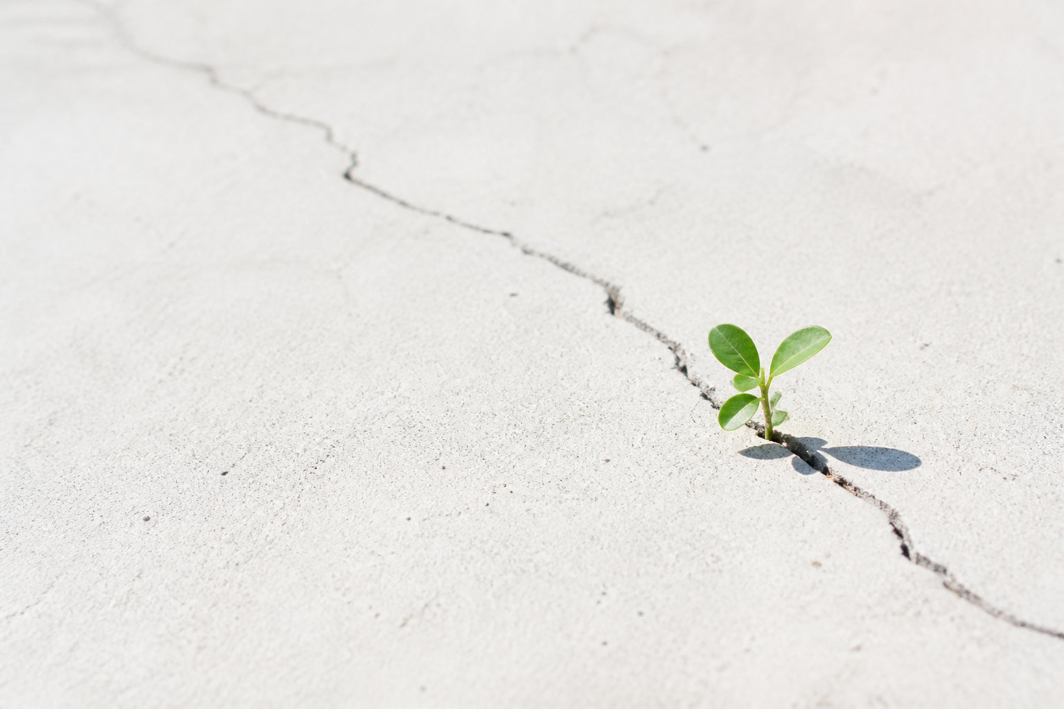 Incarner la marque via le Founder Led Growth et l'action
